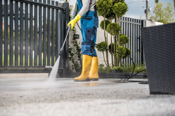 Best House Exterior Washing  in Douglas, WY